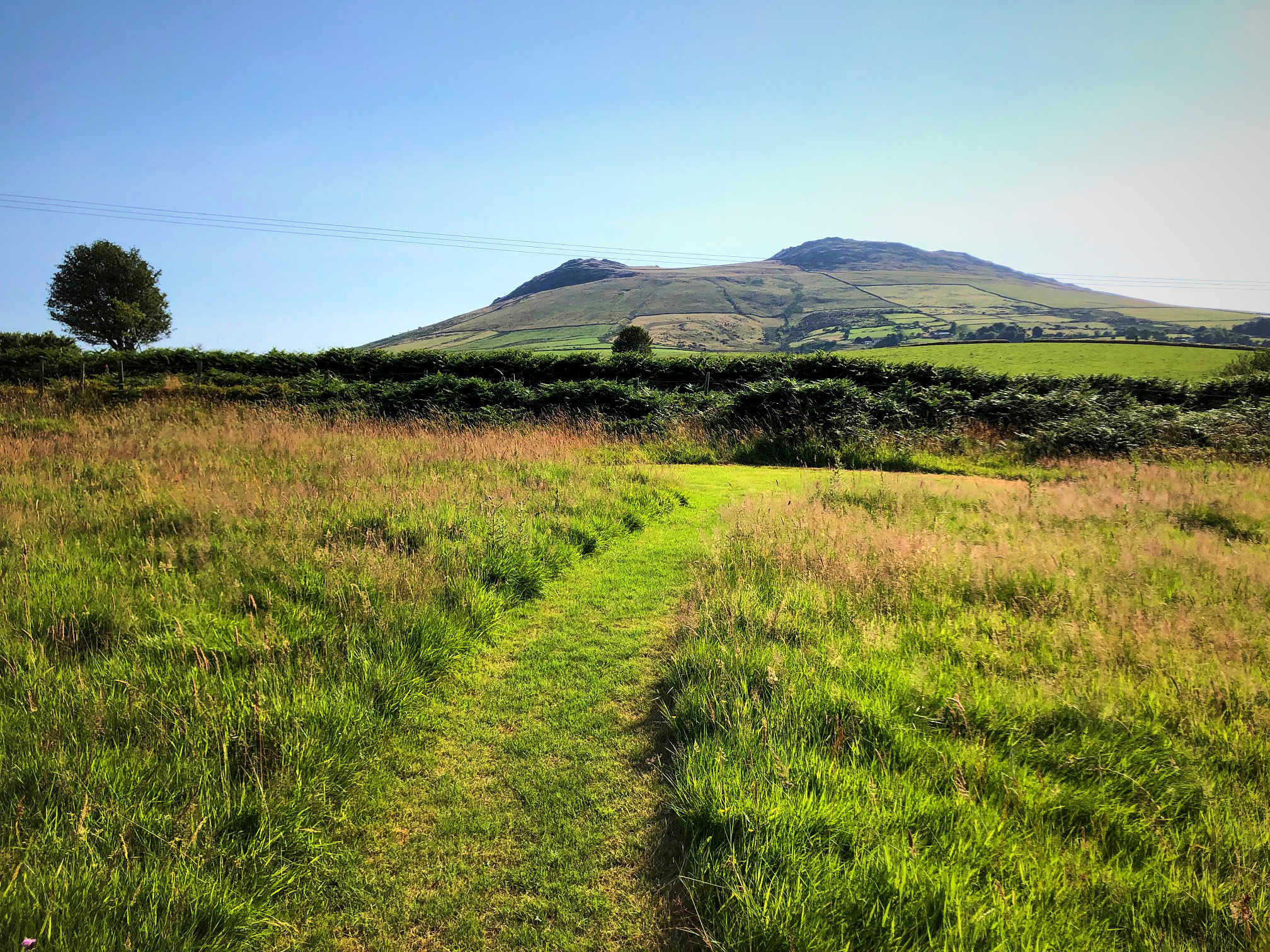Bryn Ifan Camping
