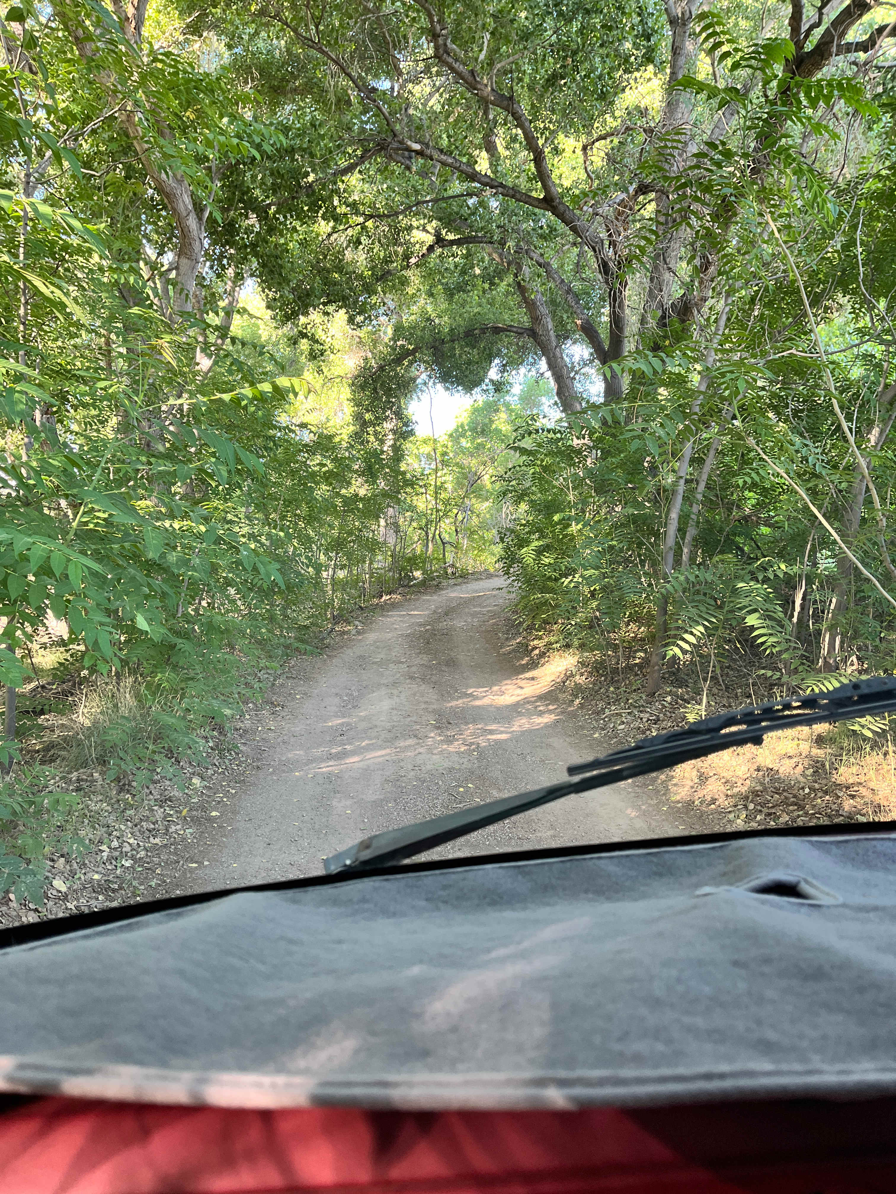 Easy road, just don’t go too fast!