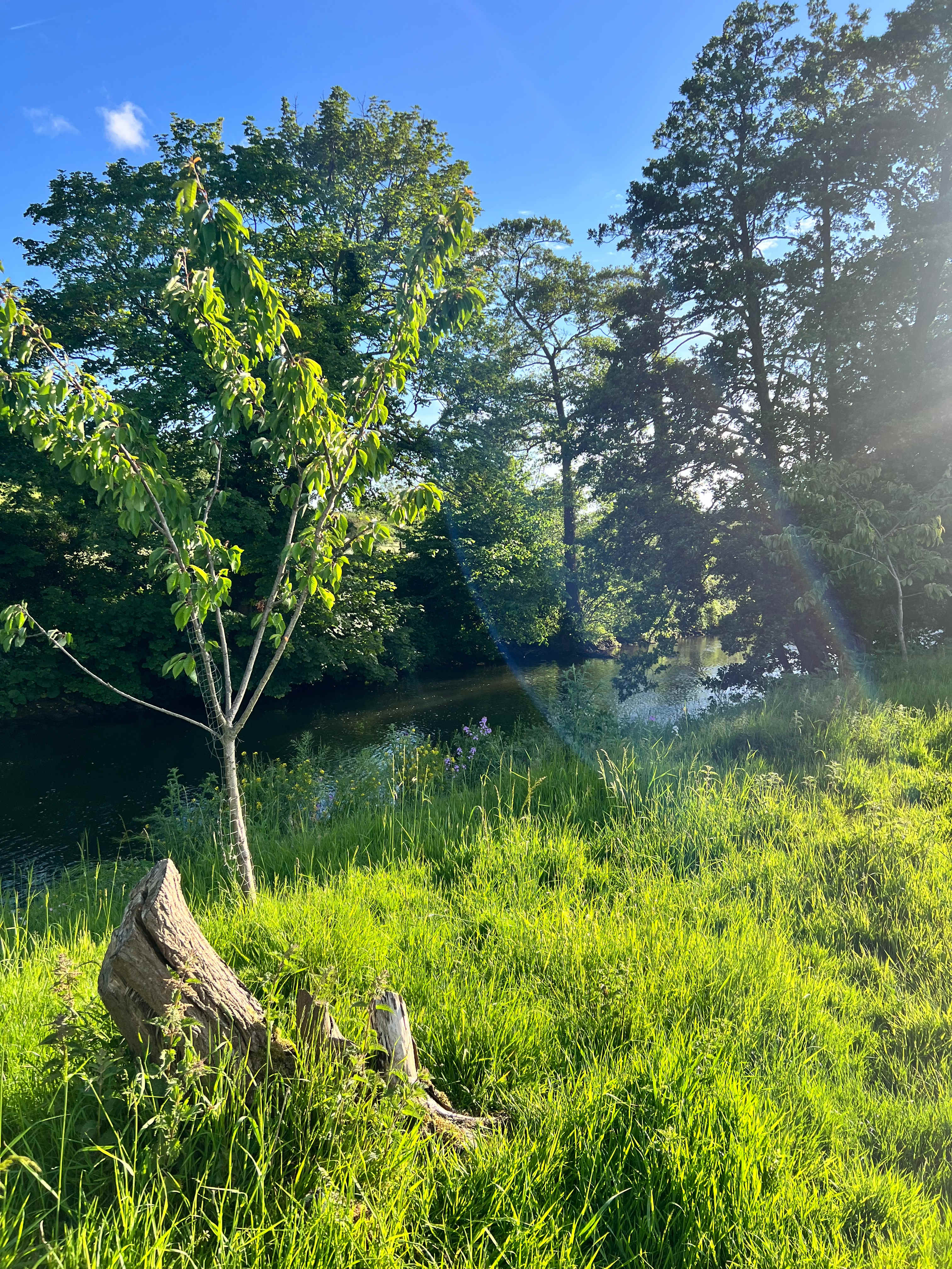 Alder Carr Farm