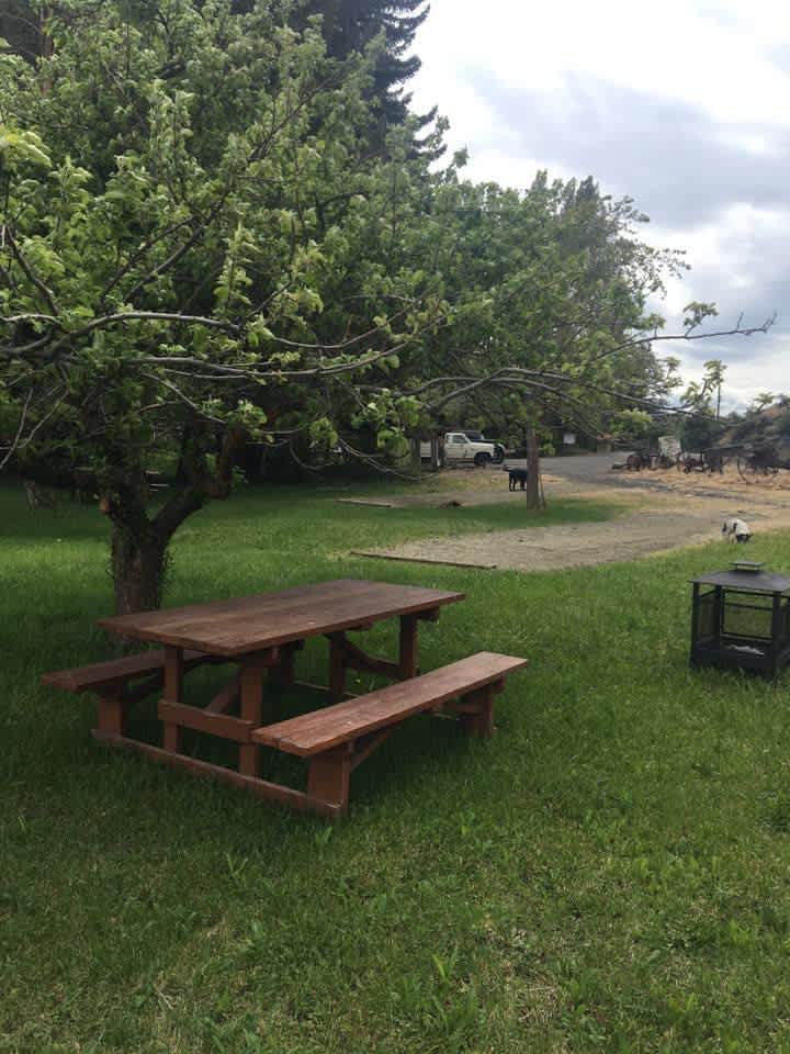 Fruitland