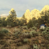 Tent Camp with Goats