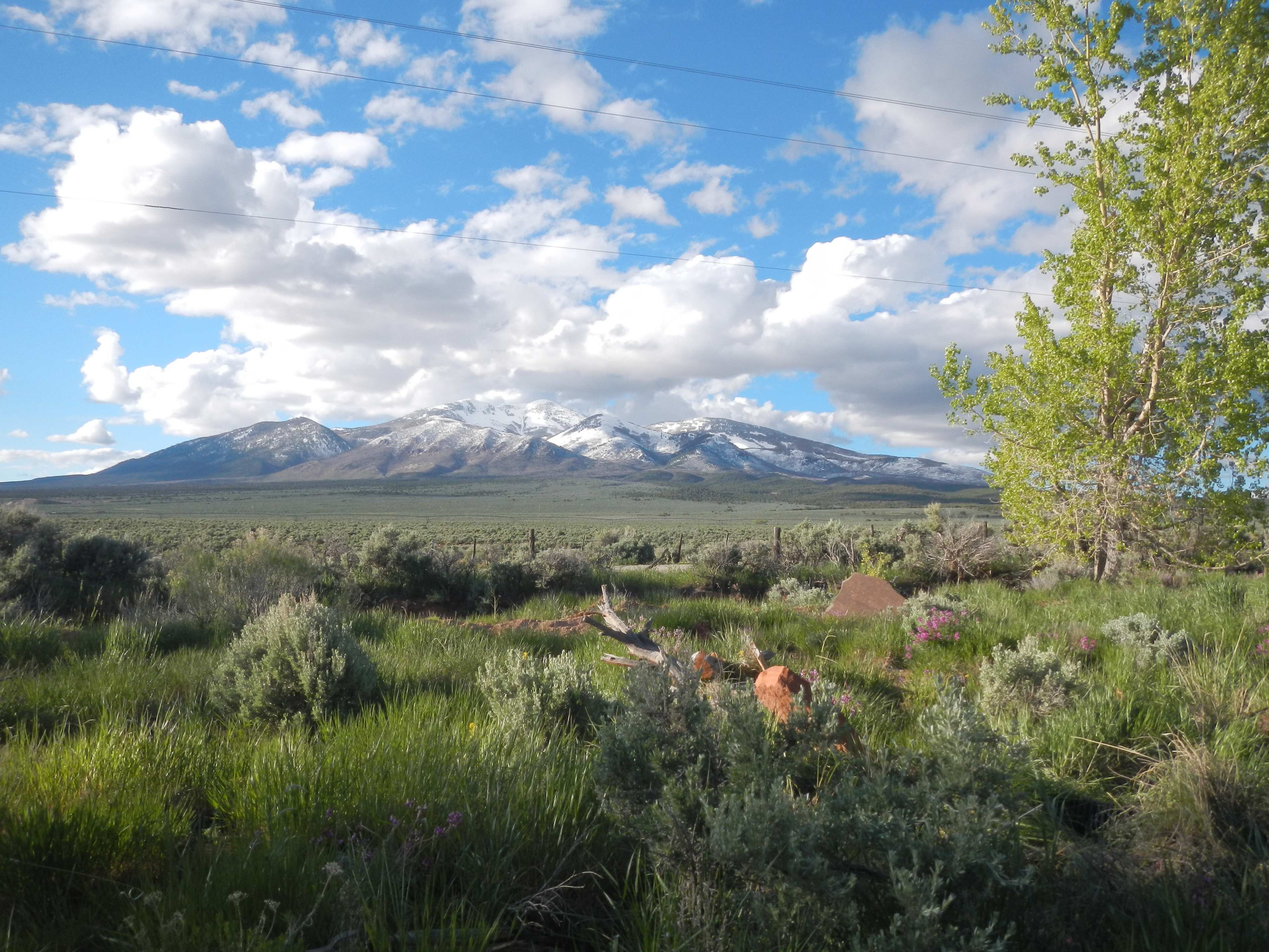 Here is the view to the North. All sites face this way. 
