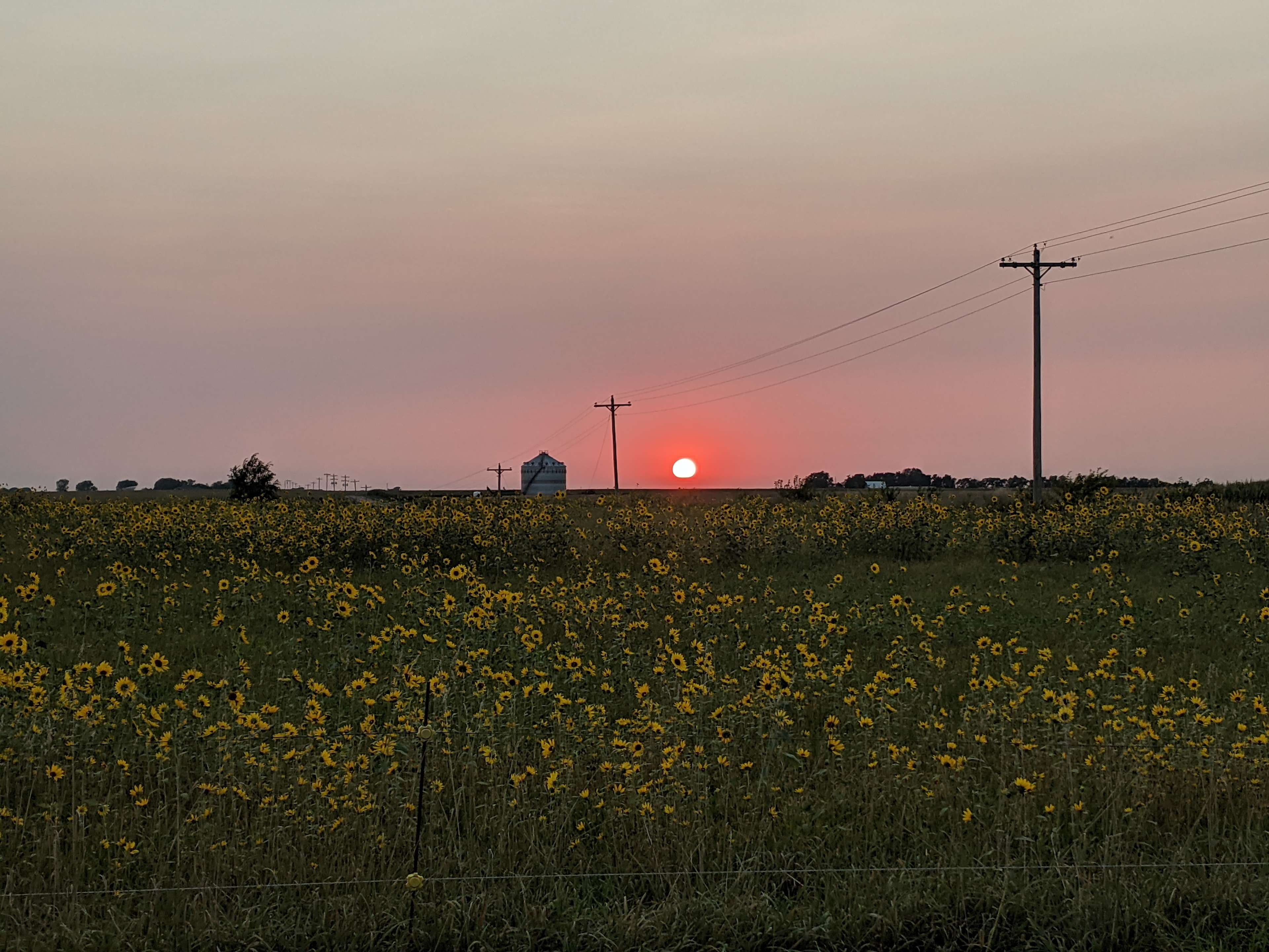 Sunset Serenity RV and Tent Sites