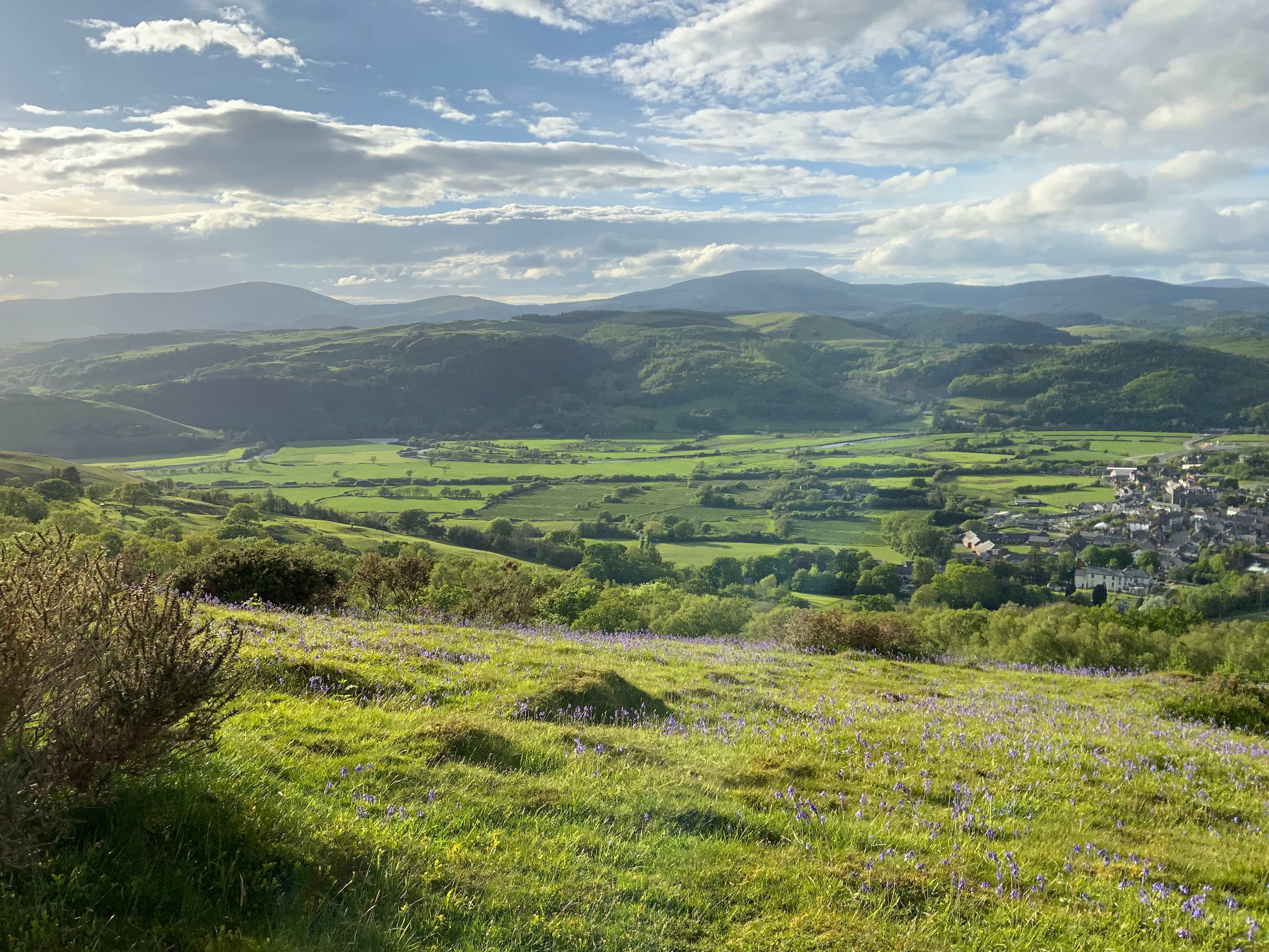 Gwersyllfa Glyndŵr Campsite
