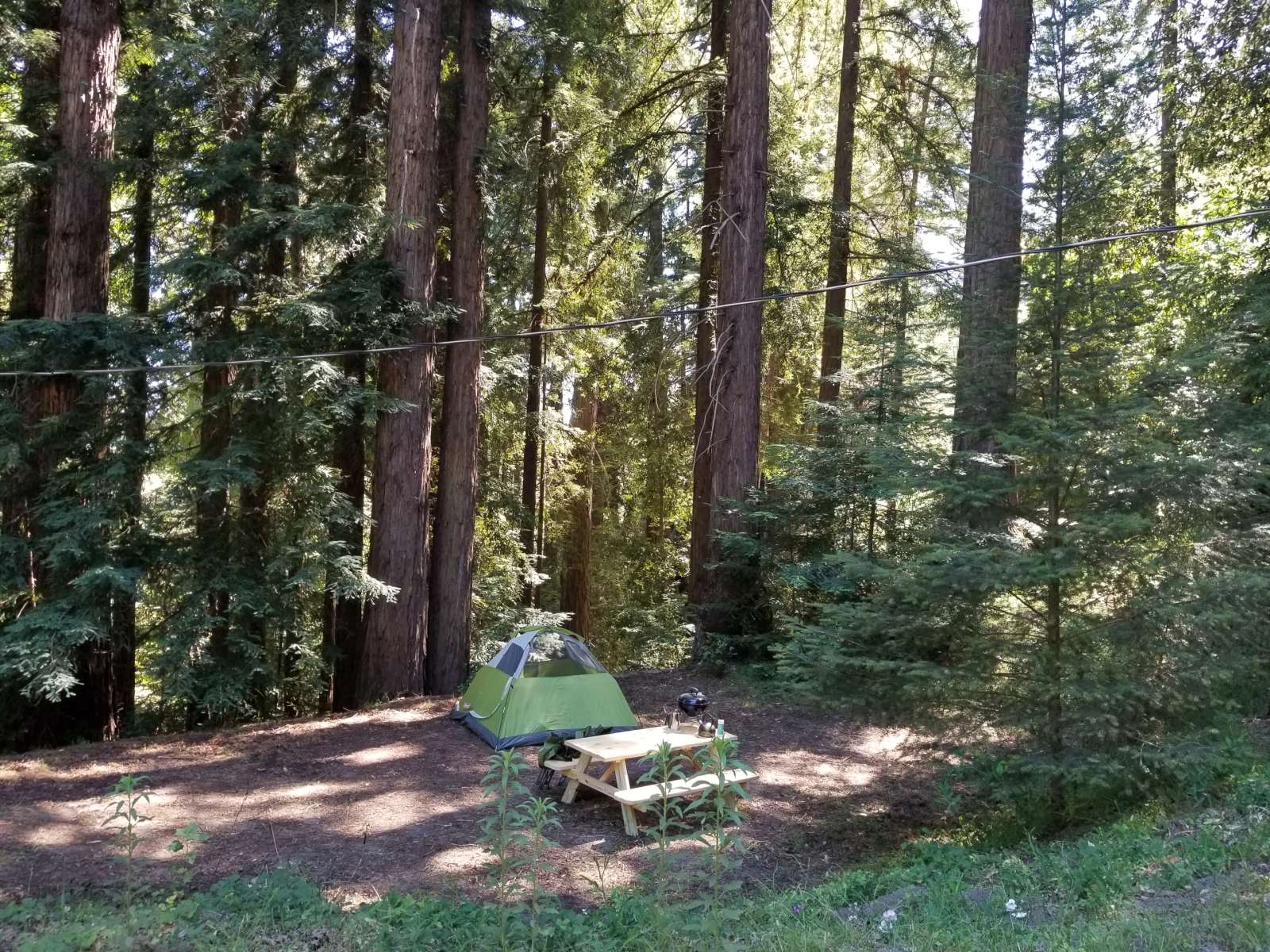 Amaya Creek Redwood Campground